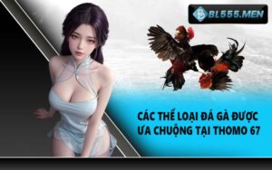 Các Thể Loại Đá Gà Được Ưa Chuộng Tại Thomo 67