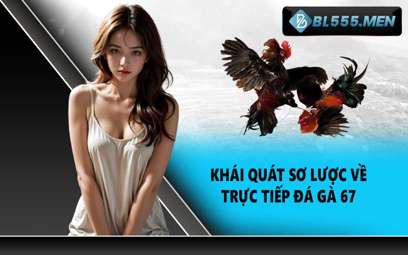 Khái Quát Về Sơ Lược Về Trực Tiếp Đá Gà  67