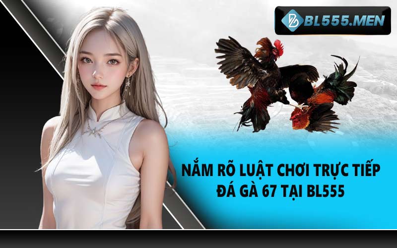 Nắm Rõ Luật Chơi Trực Tiếp Đá Gà 67 Tại BL555