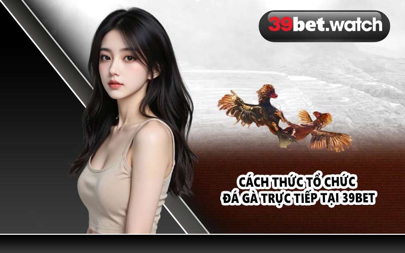 Cách thức tổ chức đá gà trực tiếp tại 39BET