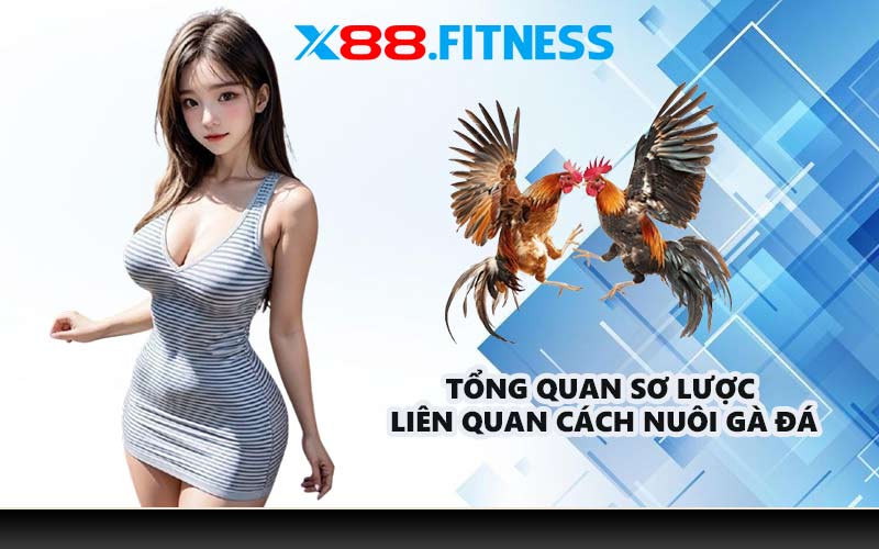 Tổng quan sơ lược liên quan cách nuôi gà đá